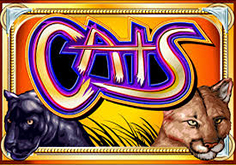 Cats Slot