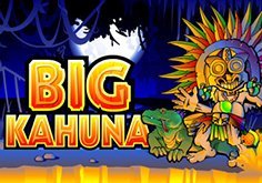 Big Kahuna Slot